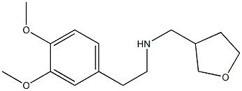 [2-(3,4-dimethoxyphenyl)ethyl](oxolan-3-ylmethyl)amine