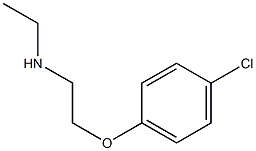 [2-(4-chlorophenoxy)ethyl](ethyl)amine|
