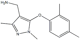 [5-(2,4-dimethylphenoxy)-1,3-dimethyl-1H-pyrazol-4-yl]methanamine