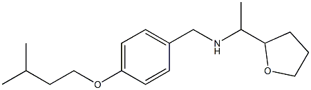 {[4-(3-methylbutoxy)phenyl]methyl}[1-(oxolan-2-yl)ethyl]amine
