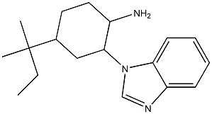 2-(1H-1,3-benzodiazol-1-yl)-4-(2-methylbutan-2-yl)cyclohexan-1-amine