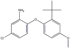 2-(2-tert-butyl-4-methoxyphenoxy)-5-chloroaniline|