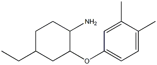 2-(3,4-dimethylphenoxy)-4-ethylcyclohexan-1-amine