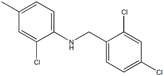 2-chloro-N-[(2,4-dichlorophenyl)methyl]-4-methylaniline