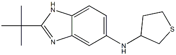 2-tert-butyl-N-(thiolan-3-yl)-1H-1,3-benzodiazol-5-amine