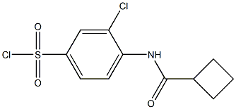 3-chloro-4-cyclobutaneamidobenzene-1-sulfonyl chloride Structure