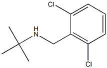 tert-butyl[(2,6-dichlorophenyl)methyl]amine