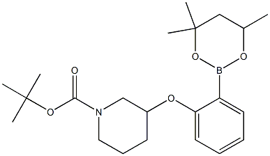 tert-Butyl 3-[2-(4,4,6-trimethyl-1,3,2-dioxaborinan-2-yl)phenoxy]piperidine-1-carboxylate Structure
