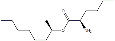 (R)-2-アミノヘキサン酸(R)-1-メチルヘプチル 化学構造式
