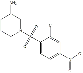 1-[(2-chloro-4-nitrobenzene)sulfonyl]piperidin-3-amine|