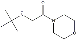2-(tert-butylamino)-1-(morpholin-4-yl)ethan-1-one