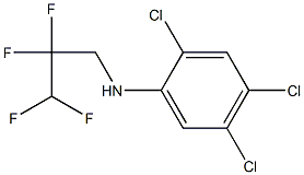 2,4,5-trichloro-N-(2,2,3,3-tetrafluoropropyl)aniline