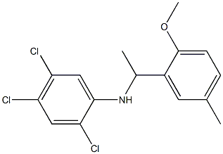 2,4,5-trichloro-N-[1-(2-methoxy-5-methylphenyl)ethyl]aniline