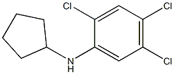 2,4,5-trichloro-N-cyclopentylaniline