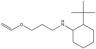 2-tert-butyl-N-[3-(ethenyloxy)propyl]cyclohexan-1-amine