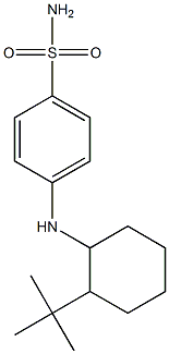 4-[(2-tert-butylcyclohexyl)amino]benzene-1-sulfonamide