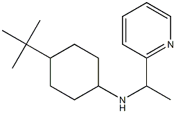 4-tert-butyl-N-[1-(pyridin-2-yl)ethyl]cyclohexan-1-amine