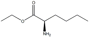 [R,(-)]-2-アミノヘキサン酸エチル 化学構造式