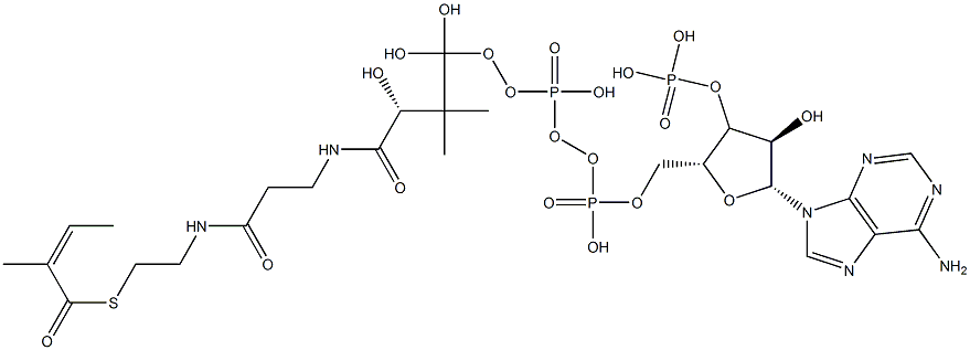 [(2R,3R,4R,5R)-5-(6-aminopurin-9-yl)-4-hydroxy-2-[[hydroxy-[hydroxy-[3-hydroxy-2,2-dimethyl-3-[2-[2-[(Z)-2-methylbut-2-enoyl]sulfanylethylcarbamoyl]ethylcarbamoyl]propoxy]phosphoryl]oxy-phosphoryl]oxymethyl]oxolan-3-yl]oxyphosphonic acid