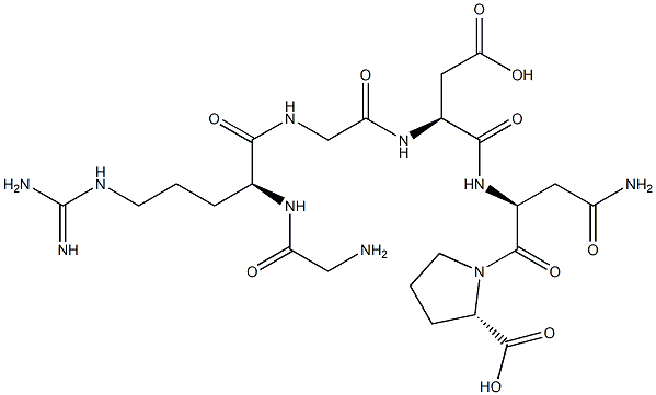 glycyl-arginyl-glycyl-aspartyl-asparaginyl-proline