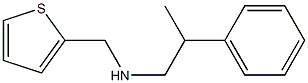 (2-phenylpropyl)(thiophen-2-ylmethyl)amine