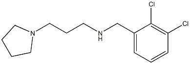 [(2,3-dichlorophenyl)methyl][3-(pyrrolidin-1-yl)propyl]amine