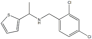 [(2,4-dichlorophenyl)methyl][1-(thiophen-2-yl)ethyl]amine