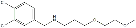 [(3,4-dichlorophenyl)methyl][3-(2-methoxyethoxy)propyl]amine