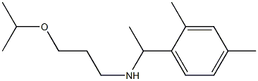 [1-(2,4-dimethylphenyl)ethyl][3-(propan-2-yloxy)propyl]amine