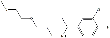 [1-(3-chloro-4-fluorophenyl)ethyl][3-(2-methoxyethoxy)propyl]amine