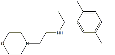 [2-(morpholin-4-yl)ethyl][1-(2,4,5-trimethylphenyl)ethyl]amine