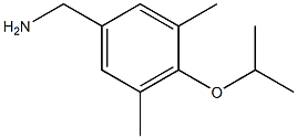 [3,5-dimethyl-4-(propan-2-yloxy)phenyl]methanamine
