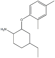 2-(2,4-dimethylphenoxy)-4-ethylcyclohexan-1-amine