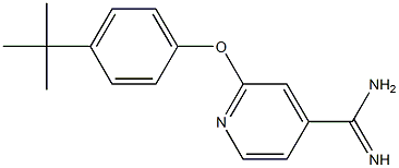 2-(4-tert-butylphenoxy)pyridine-4-carboximidamide