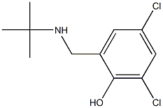 2-[(tert-butylamino)methyl]-4,6-dichlorophenol