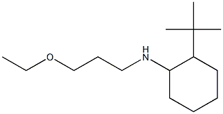 2-tert-butyl-N-(3-ethoxypropyl)cyclohexan-1-amine