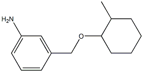 3-{[(2-methylcyclohexyl)oxy]methyl}aniline