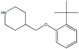 4-(2-tert-butylphenoxymethyl)piperidine