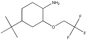 4-tert-butyl-2-(2,2,2-trifluoroethoxy)cyclohexanamine