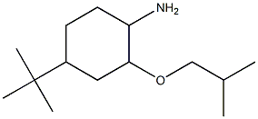 4-tert-butyl-2-(2-methylpropoxy)cyclohexan-1-amine