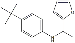 4-tert-butyl-N-[1-(furan-2-yl)ethyl]aniline