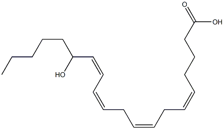 (5Z,8Z,11Z,13Z)-15-ヒドロキシ-5,8,11,13-イコサテトラエン酸 化学構造式
