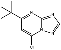 5-tert-butyl-7-chloro[1,2,4]triazolo[1,5-a]pyrimidine Structure