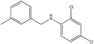 2,4-dichloro-N-[(3-methylphenyl)methyl]aniline