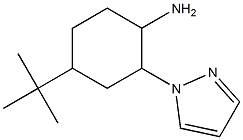 4-tert-butyl-2-(1H-pyrazol-1-yl)cyclohexanamine