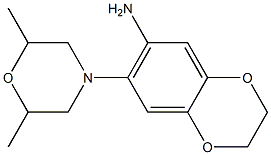 7-(2,6-dimethylmorpholin-4-yl)-2,3-dihydro-1,4-benzodioxin-6-amine|