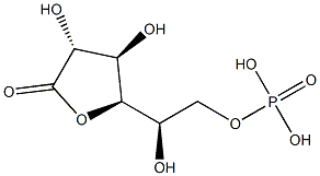 6-phosphoglucono-gamma-lactone