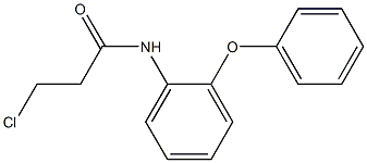 3-CHLORO-N-(2-PHENOXYPHENYL)PROPANAMIDE