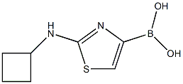 2-CYCLOBUTYLAMINOTHIAZOLE-4-BORONIC ACID