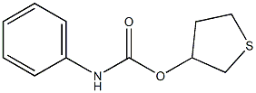 tetrahydrothiophen-3-yl N-phenylcarbamate
